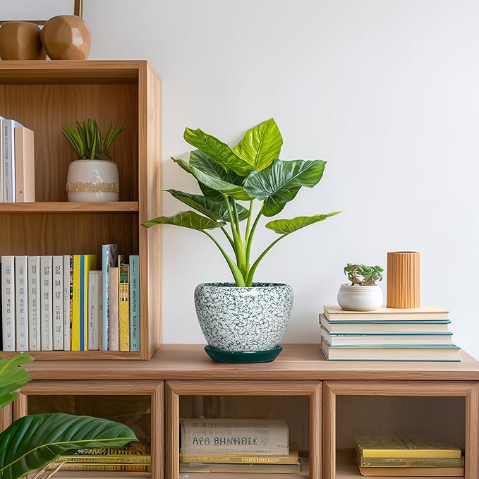 Ceramic Plant Pot - 6 Inch Planters for Indoor Plants, Round Succulent Pots with Drainage Hole and Saucer, Modern Decorative Plant Pots, Bathroom Decor, House Warming Gifts, Crackle Green