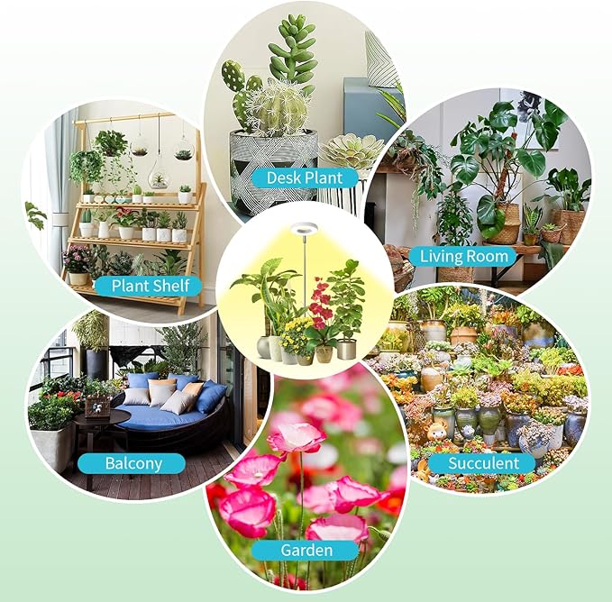 Halo Ring Grow Lights for Small Indoor Plants, Warm+White 96LEDs Full Spectrum Plant Light, Height Adjustable with Adapter, 3/9/12H Timer, 3 Spectral Modes, 10 Dimmable Levels, Angel Ring 2 Pack