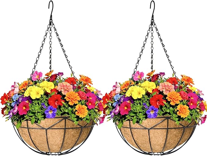Hanging Baskets for Outdoor Plants (12 inch 2 Pack) Black Metal Wire Flower Basket Coconut Coir Hanging Planters with Chain Indoor Plant Holder for Patio Garden Balcony
