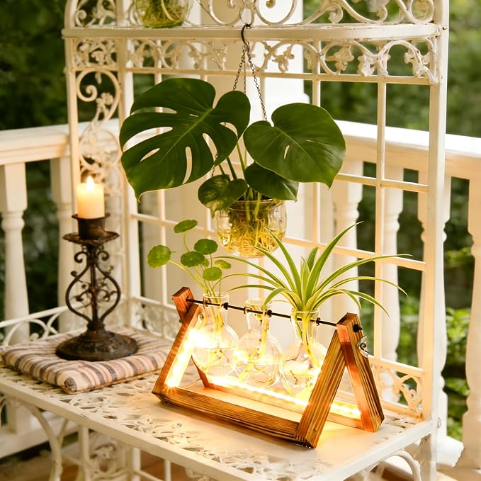 Plant Propagation Stations with LED Lights, Plants Terrarium with Retro Wooden Stand Glass Vase Hydroponics Planter Birthday Gift for Plant Lovers Home Garden Office Indoor Decoration-3 Bulb Vase