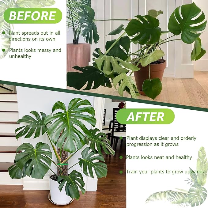 Sisher Monstera Moss Pole 4pcs Plastic Moss Pole for Climbing Plants Work with Sphagnum Moss 16 Inch D Shaped Poles Indoor Plant Support, White