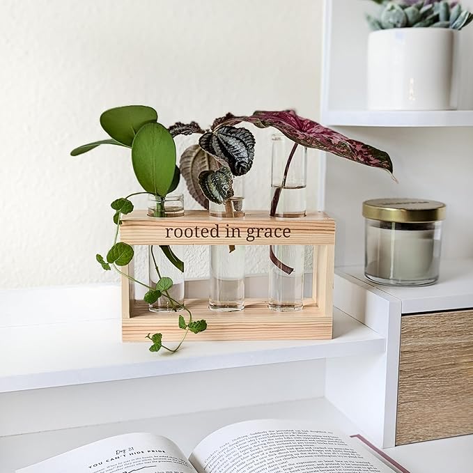 Rooted in Grace: Plant Propagation Stations: Plant Cutting Holder w/ 3 Glass Propagating Vases, Unique & Encouraging Christian Gifts for Women, Faith-Inspired Home Decor