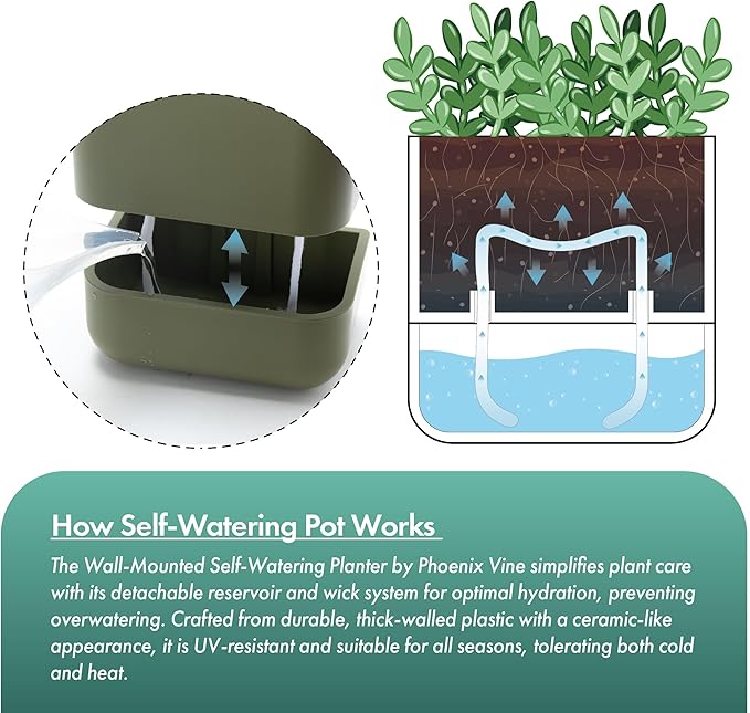 Phoenix Vine 6.5 Inch Wall Mounted Self-Watering Planter Pot for Indoor Houseplants and Herbs | Hanging Planter for Window Sills, Bathroom Walls, Home & Office Décor, Olive, Set of 1, 01-C-F-1