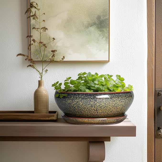 SQOWL Bonsai Planter - 10 Inch Ceramic Succulent Pots, Shallow Plant Pot Indoor with Drainage Hole and Saucer, Ceramic Bonsai Pots, Round Planter Bowl Outdoor, House Decor, Plant Lover Gifts, Brown
