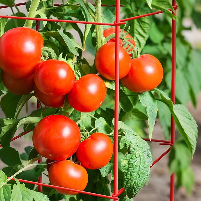 Thealyn Tomato Cages 6 Packs 57 Inches (H) Plant Stand with 164 Feet Twist Ties, Heavy Duty Garden Plants Support for Tomatoes, Cucumber, and Other Climbing Plants (Red)