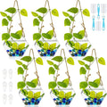 6 Pcs Wall Hanging Planter Glass Plant Pot Water Terrarium Containers Wall Vases for Flowers Air Hydroponic Propagation Glass Plant Holder Home Room Window Office(Hexagon)