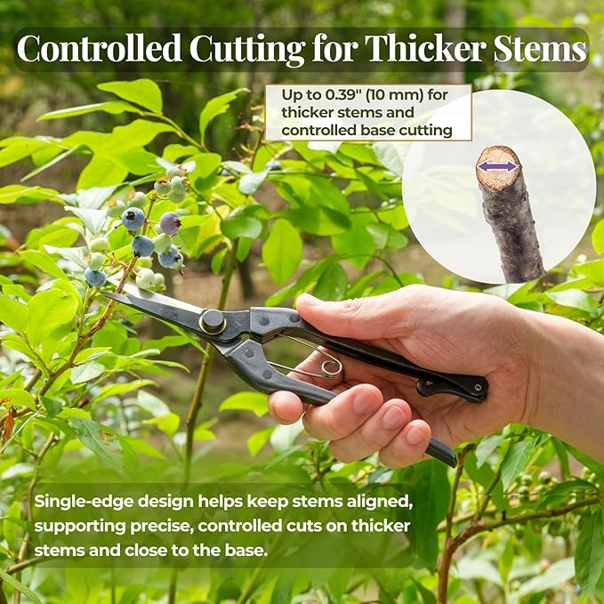 Wablade Japanese Single Blade Pruning Shears, Hand Pruner for Thicker Stems & Controlled Cutting, Garden Shears for Plants & Shrubs, 0.4" (10 mm), Made in Japan (Single-blade)