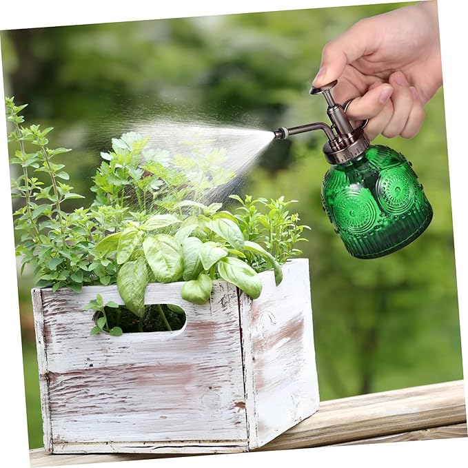 Glass Plant Water Sprayer Mister Spray Bottle for Home Use Indoor Herb Garden Spraying Device