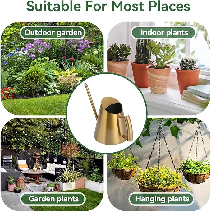 Watering Can for Indoor Plants, 13.5 Oz/400 Ml Indoor Plant Watering Can Stainless Steel Small Water Cans with Long Spout for Plants Succulent Bonsai, 4 X 4.9 Inch