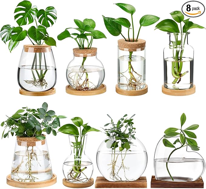 Honeydak 8 Pcs Plants Propagation Stations Planter Terrariums with Wooden Lid and Bamboo Stand Desktop Glass Propagation Vases for Plant Growing Hydroponic Home Office Tabletop Decoration