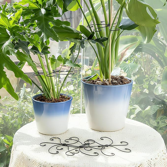 Yohsnor Monstera Plant Stem Support Set - 7.5x7.5 Inch Durable Stabilizers for Indoor Climbing Plants and Leaf Holders - Promote Healthy Growth and Stability (5 Pieces)