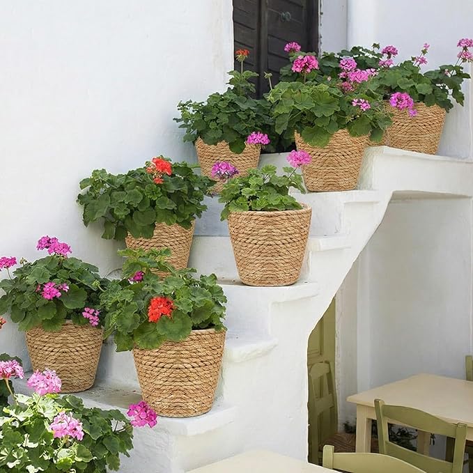 4PCS Straw Woven Plant Basket Middle Premium Seagrass Planter Basket with Plastic Lining Natural Stylish Planter Baskets Indoor Outdoor Plants Woven Wicker Baskets for Plants Flower Pots