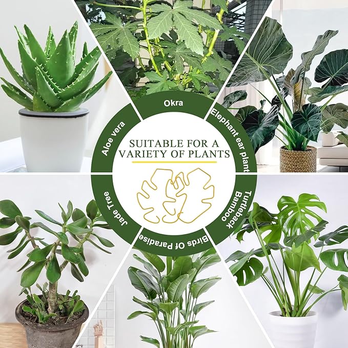 3PCS Monstera Plant Support, Metal Plant Supports Plant Stem Holder Plant Support Ring Stabilizer Durable for Climbing Plants Indoor Outdoor Moss Pole (Gold)