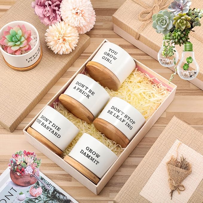 Potchen 6 Pcs Funny Succulent Pots Set Best Teacher Gifts Cute Ceramic Succulent Planters with Bamboo Tray Employee Appreciation Gifts for Women, Nurses, Birthday