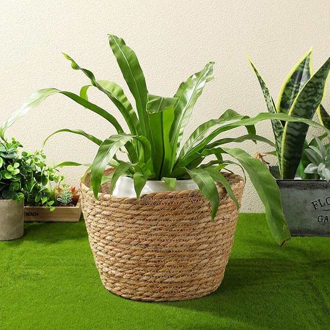 Beavorty Woven Flower Basket Plant Pot with Plastic Liner Indoor Outdoor Decorative Rattan Planter for Small Plants Succulents and Home Garden