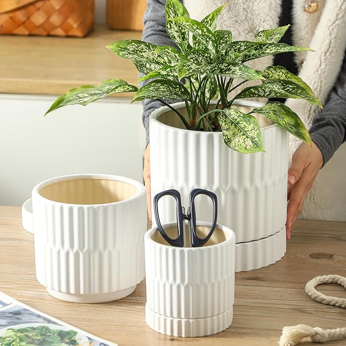 HASENSE Ceramic Plant Pots Set of 3, 8/6/4.6 Inch Cylinder Flower Planters with Drainage Saucers, Vertical Ribbed Modern White for Home Office & Outdoor Plants