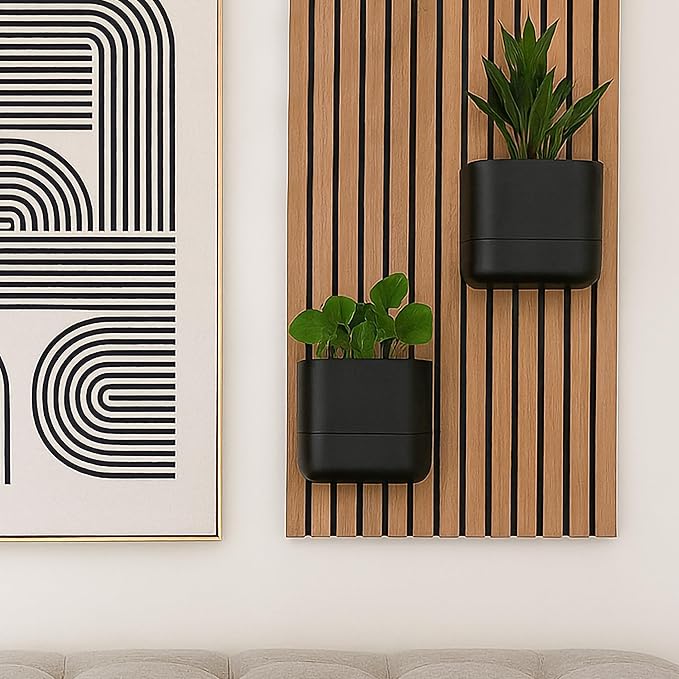 Phoenix Vine 6.5 Inch Wall Mounted Self-Watering Planter Pot for Indoor Houseplants and Herbs | Hanging Planter for Window Sills, Bathroom Walls, Home & Office Décor, Black, Set of 1, 01-C-E-1