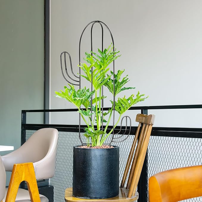 Plant Trellis for Climbing Plants Indoor, Cactus Trellis for Potted Plants, Pothos Hoya Monstera Metal Houseplant Climbing Support for Garden Balcony, 2P