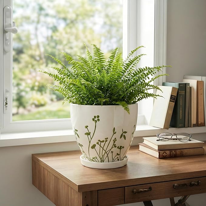 MPotTo Indoor Plant Pot 8.2 Inch - Ceramic Planter with Drainage Hole and Saucer, Boho Round Decorative Flower Pot for Indoor Outdoor Flowers, Plant Lover Gifts, Office Home Garden Patio Decor, White