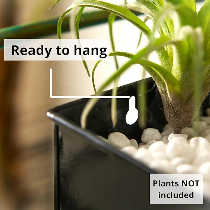 LaLaGreen Indoor Wall Planter - 3 Pack, 16 Inch Large Wall Mounted Succulent Planters, Black Rectangular Metal Hanging Flower Pot, Long Window Sill Plant Box Boho Minimalist Decor Floating Shelve