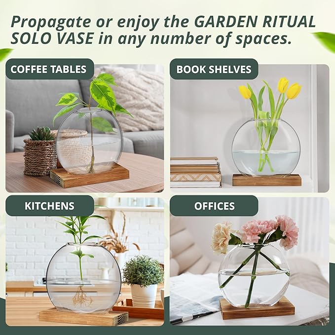 Plant Propagation Station Vase, Glass Terrarium Jars, Modern Hydroponic Planters for Indoor Plants, Desktop Glass Pots for Plants Round Vases Plant Holder Home Office Decor, 1Vase