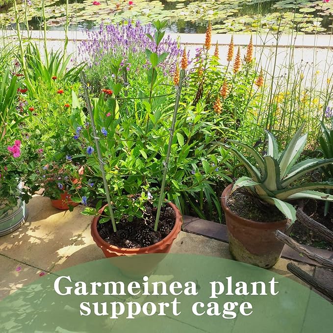 6 Pack Plant Support Cages 18 Inches Small Tomato Cages and Supports with Adjustable Rings for Garden Pots, Climbing Plants, Bonus 98 Feet Twist Ties