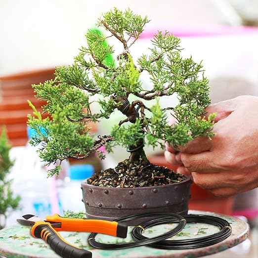 Mudder 5 Roll Aluminum Bonsai Training Wire Tree 160 Feet Total with Bonsai Wire Cutter Anodized Training for Holding Branches Small Trunks(1/1.5/2.0mm,Classic)