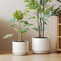 LE TAUCI Ceramic Pots for Plants, Set of 2, 10 + 12 Inch Plant Pot with Drainage Hole and Saucer, Durable & Stylish Planters for Indoor Plants, Elevate Your Home’s Aesthetic, White