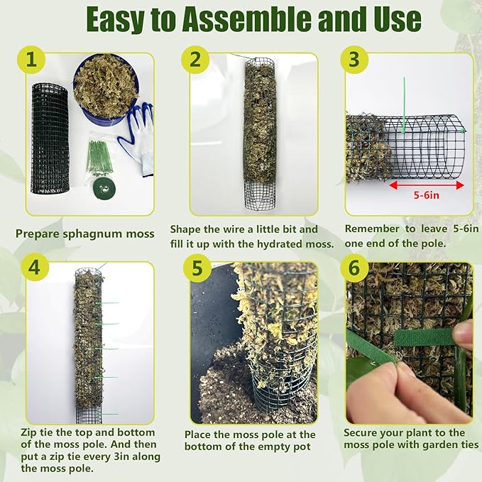 6 Pack Metal Moss Pole, 60"/40"/24" Moss Poles for Plants Monstera, Stackable Sphagnum Moss Pole, Plant Poles for Climbing Plants Work with Sphagnum Moss(2 Each of 60" 40" 24")