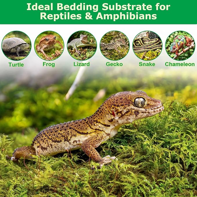 Legigo 3.3LBS Sphagnum Moss for Plants, 60QT Natural Orchid Moss Potting Mix Dired, Green Forest Plant Moss for Orchid Repotting Carnivorous Succulents Indoor Potted Plants Gardening and Reptiles