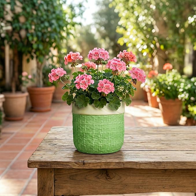 Ceramic Plant Pots - 6 Inch Plant Pot with Drainage Hole, Boho Planters for Indoor Succulent Plants, Decorative Round Unique Flower Pots, Garden Home Office Decor, Housewarming Gifts, Green