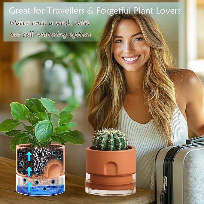 GUGUGO Self Watering Pot for Indoor Plants, 6 Inch Self-Watering Terracotta Plant Pots, Terracotta Planters with Clear Reservoir, Terra Cotta Flower Pots Planters, Large Modern Office Home Décor