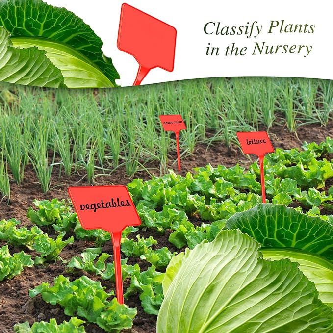 Marsui 202 Pcs Large Plant Labels Kit, Include 100 Outdoor Plastic Plant T Type Tags Waterproof Reusable Plant Markers Stakes, 100 PET Films and 2 Marker Pens for Herbs Pot(Red,6 Inch)