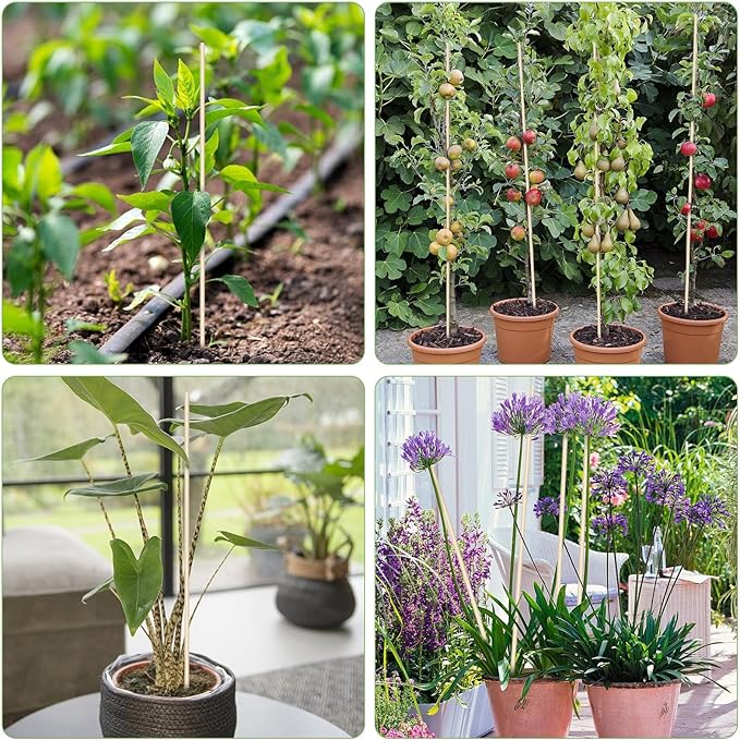 46 PCS Bamboo Plant Stakes 18 Inch, Wood Plant Support for Gardening for Potted Floral Plant, Indoor Wooden Sign Posting Garden Stick, Crafts Sticks with 46 PCS Wires(4")