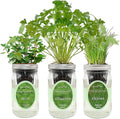 Hydroponic Herb Growing Kit Set, Self-Watering Mason Jar Herb Garden Starter Kit Indoor, New Christmas Gift for Mom (Cilantro, Mint & Chives)