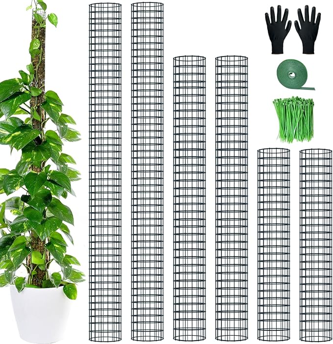 6 Pack Metal Moss Pole, 60"/40"/24" Moss Poles for Plants Monstera, Stackable Sphagnum Moss Pole, Plant Poles for Climbing Plants Work with Sphagnum Moss(2 Each of 60" 40" 24")