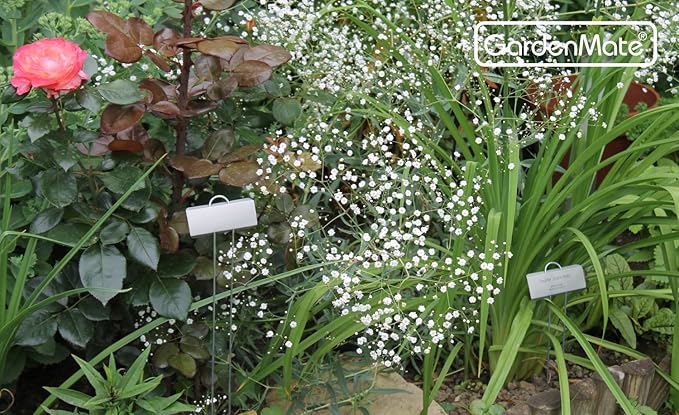 GardenMate 25-Pack Weatherproof Large Zinc Metal Plant Labels, Height 11.5", Label Area 3 1/2 x 1 1/4"