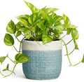 Ceramic Pots for Plants - 6 Inch Plant Pot for Indoor Succulent Plants, Round Planters with Drainage Hole, Decorative Flower Pots, Garden House Room Decor, Gardening Gifts for Women, Blue