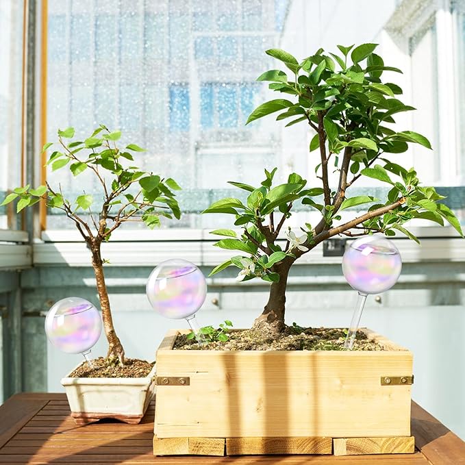 3 Pcs Iridescent Self Watering Globes,Automatic Plant Glass Waterer Bulbs,Rainbow Plant Watering Insert,Clear Glass Plant Water Globes for Indoor & Outdoor
