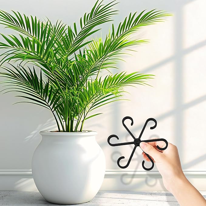 Plant Stem Support Set, 8Pcs 4 Sizes Plant Trellis Rings for Climbing Plants Indoor, Support Holder Ring for Different Growth Stages, Climbing Houseplant Trellis for Potted (Black)
