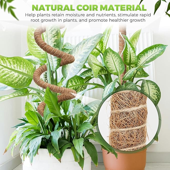 2 Pack 29'' Bendable Moss Pole Monstera Plant Support for Climbing Indoor Plants - Stakes for Potted Climbers (2)