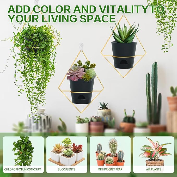 Koalaime 3 Sets Wall Planters for Indoor Plants Geometric Hanging Planters for Indoor Plants - Self-Watering Flower Pots with Black Metal Holder, Mounted Succulent Planter, 5" Black Plant Pot