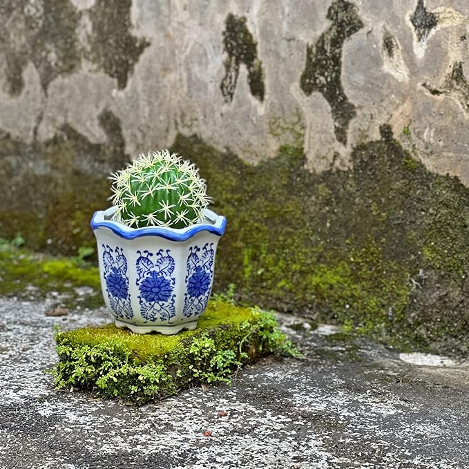 HakkaGirl Ceramic Pots for Plants, Chinoiserie Décor Ceramic Flower Pots Planters for Indoor Plants with Drainage, Blue and White, Set of 3