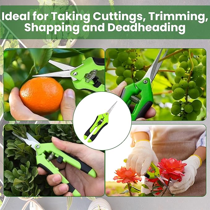 Hormex Cloning Shears - Precision straight-blade shears designed for clean, accurate cuts, ideal for plant cuttings and pruning. Durable, ergonomic and easy-to-use with lock - (2 Pack)