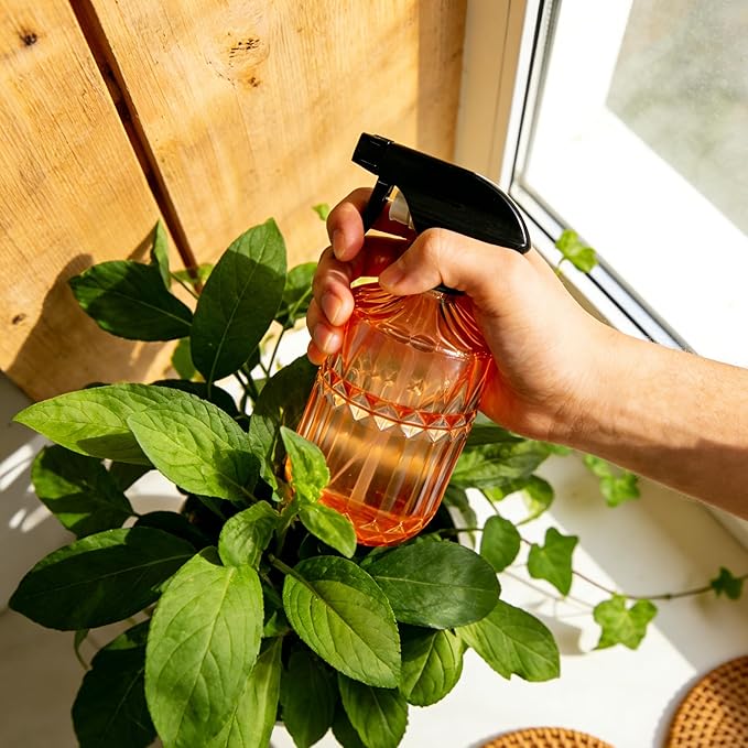 Glass Handheld Spray Bottle, 15oz Refillable Water Bottle Spray, Reusable Adjustable Nozzle Plant Mister Spray Bottles Indoor, Plant Mister for Hair, Cleaning, Gardening, Pets Care (Orange)