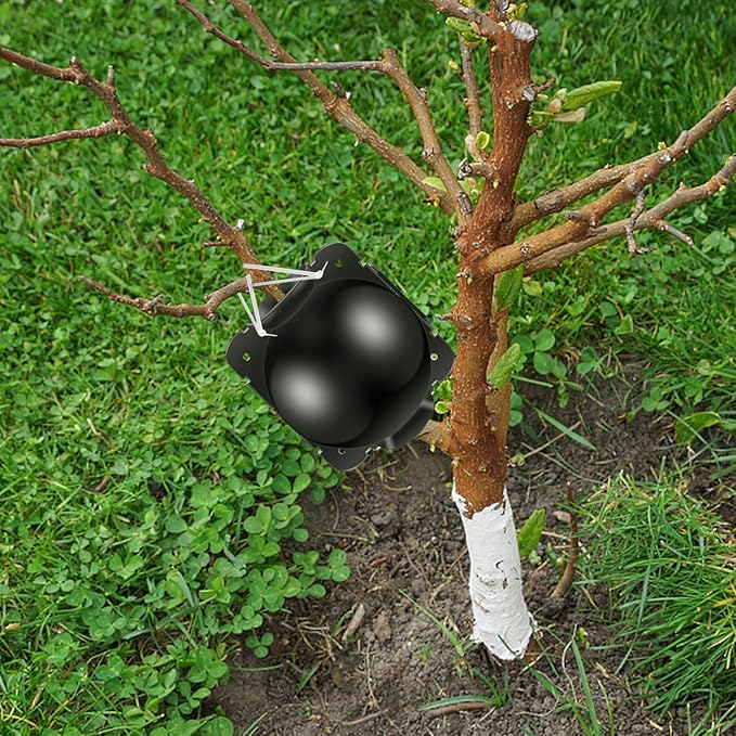 16 PCS Large Size Plant Root Growing Boxes Grafting Device, Reusable Plant Rooting Device Ball, High Pressure Propagation Ball Rooter Boxes for Garden (L 16pcs)