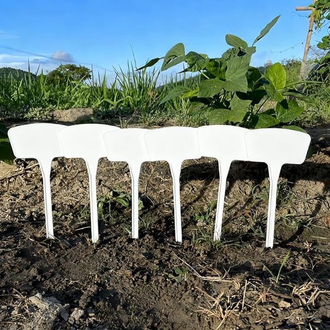 100pcs Plastic Plant Labels, BetterJonny 7.9''/20cm Large T-Style Plastic Plant Labels Waterproof | Durable Garden Markers for Outdoor Seedlings & Nursery