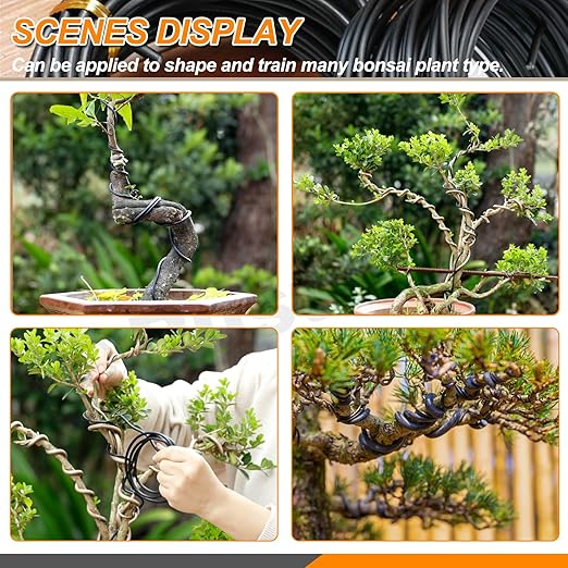 5Pcs 3 Colors Bonsai Training Wire with Wire Cutter Kit, Anodized Aluminum Bonsai Wire Tools for Holding Bonsai Plant Branches Small Trunks - 164 Feet 1.0MM 1.5MM 2.0MM 3.0MM