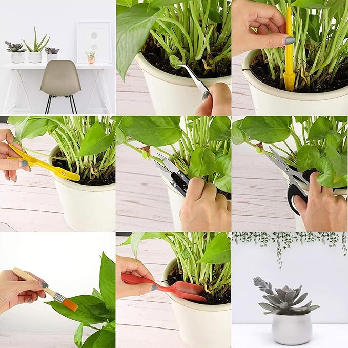 RoseFlower12 Pcs Mini Gardening Tools Set, Plants Care Tools Kit, Bonsai Mini Hand Transplanting Succulent Tools, Indoor Terrarium Tool Accessories, Garden Plant Care Tool Kit, Gardening Accessories