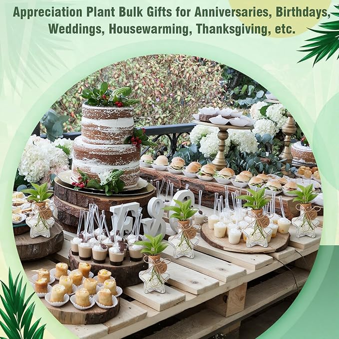 Baderke 24 Pack 3.74'' Plastic Plant Propagation Stations with Hole Lid 5oz Planter Vase Clear Propagation Jars with Thank You Tags for Plant Lover Gifts for Women Office Home Garden
